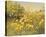 Meadow Gold-Mary Dipnall-Framed Stretched Canvas