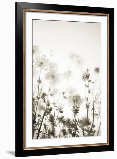 Meadow Haze - Neutral-Irene Suchocki-Framed Giclee Print