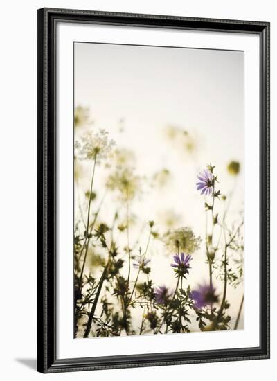 Meadow Haze-Irene Suchocki-Framed Giclee Print