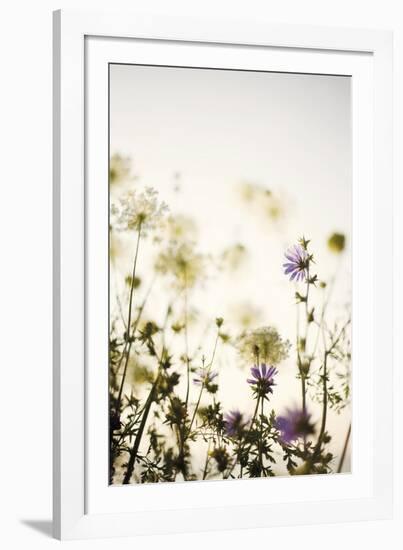 Meadow Haze-Irene Suchocki-Framed Giclee Print