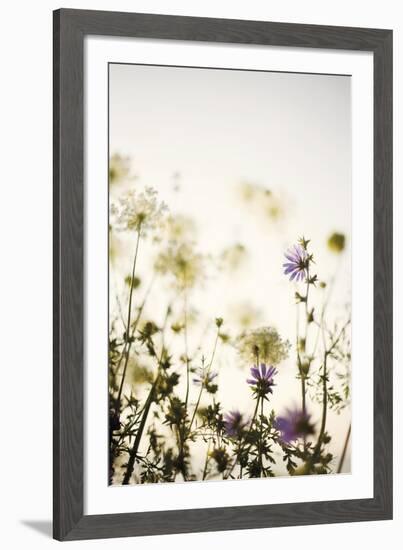 Meadow Haze-Irene Suchocki-Framed Giclee Print