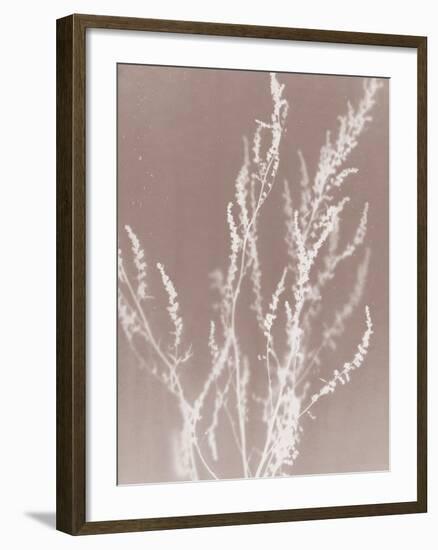 Meadow in Grey-Sarah Cheyne-Framed Giclee Print