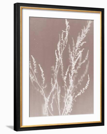 Meadow in Grey-Sarah Cheyne-Framed Giclee Print