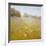 Meadow in Summer-Scott Clifton-Framed Art Print