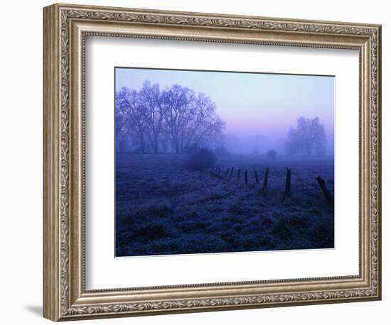 Meadow in the Morning Mist-Bruce Burkhardt-Framed Photographic Print