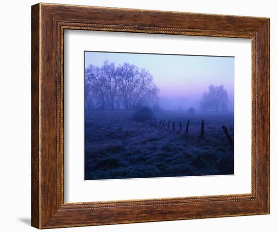 Meadow in the Morning Mist-Bruce Burkhardt-Framed Photographic Print