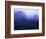 Meadow in the Morning Mist-Bruce Burkhardt-Framed Photographic Print