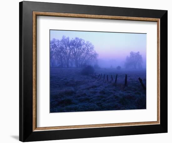 Meadow in the Morning Mist-Bruce Burkhardt-Framed Photographic Print