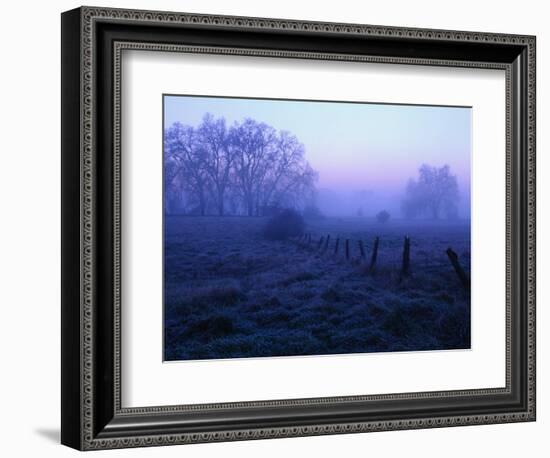 Meadow in the Morning Mist-Bruce Burkhardt-Framed Photographic Print