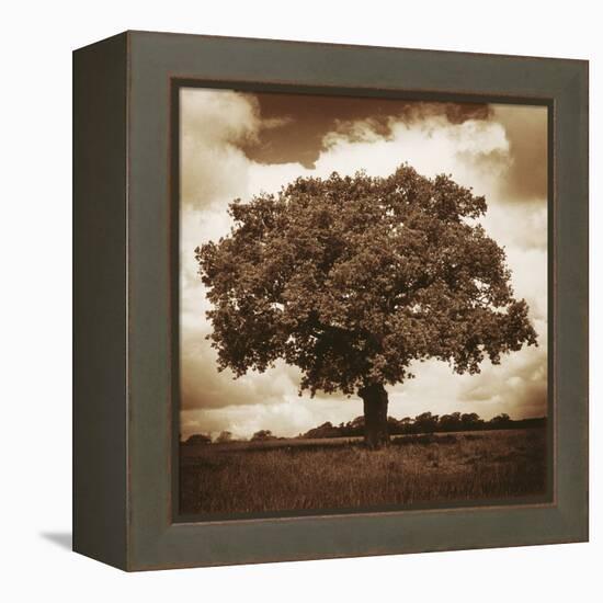 Meadow Land I-Bill Philip-Framed Stretched Canvas