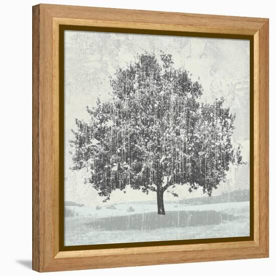 Meadow Land VII-Bill Philip-Framed Stretched Canvas