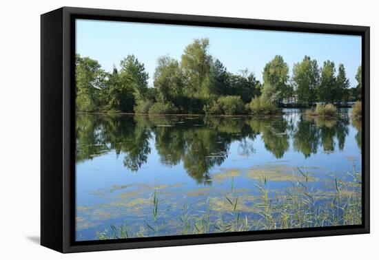 Meadow Landscape in Autumn-Werner Layer-Framed Premier Image Canvas