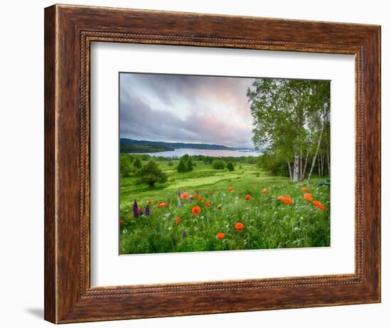 Meadow Landscape, New Brunswick, Canada-Ellen Anon-Framed Photographic Print