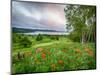 Meadow Landscape, New Brunswick, Canada-Ellen Anon-Mounted Photographic Print