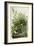 Meadow Lark, 1832-John James Audubon-Framed Giclee Print