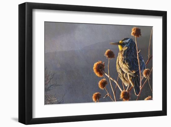 Meadow Lark-Chris Vest-Framed Art Print