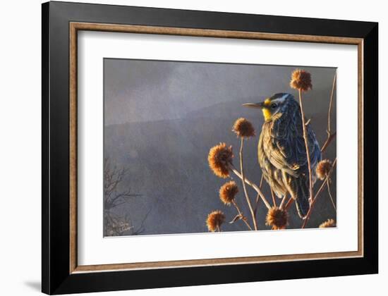 Meadow Lark-Chris Vest-Framed Art Print