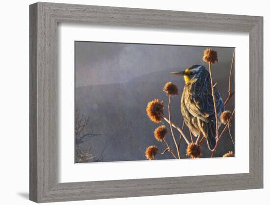 Meadow Lark-Chris Vest-Framed Art Print