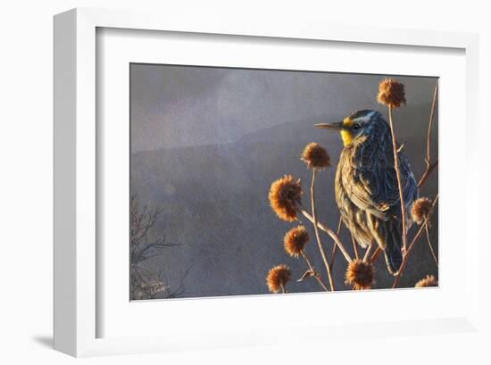 Meadow Lark-Chris Vest-Framed Art Print