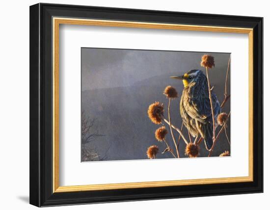 Meadow Lark-Chris Vest-Framed Art Print