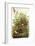 Meadow Lark-John James Audubon-Framed Art Print