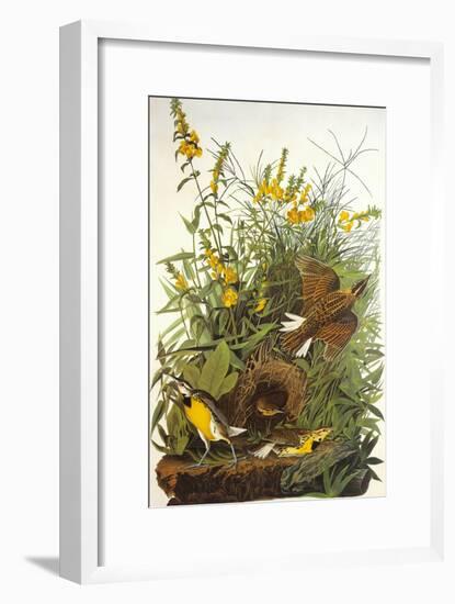 Meadow Lark-John James Audubon-Framed Art Print