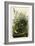 Meadow Lark-null-Framed Giclee Print