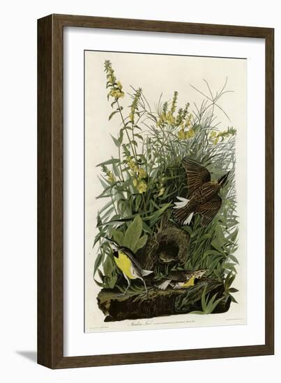 Meadow Lark-null-Framed Giclee Print