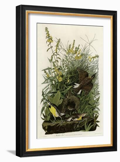 Meadow Lark-null-Framed Giclee Print