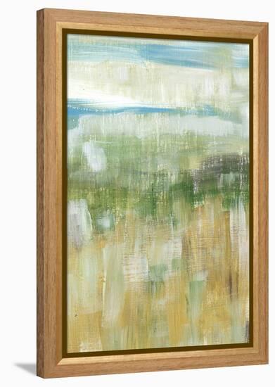 Meadow Memory II-Lisa Choate-Framed Stretched Canvas