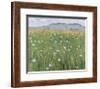 Meadow of Flowers, about 1901 Giclee Print by Ferdinand Hodler | Art.com