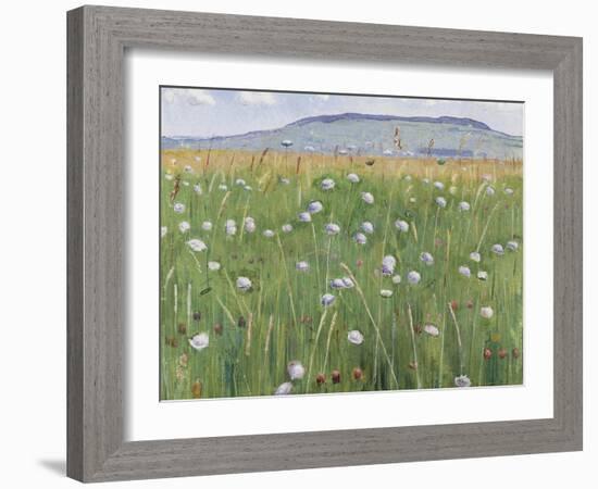 Meadow of Flowers, about 1901-Ferdinand Hodler-Framed Giclee Print