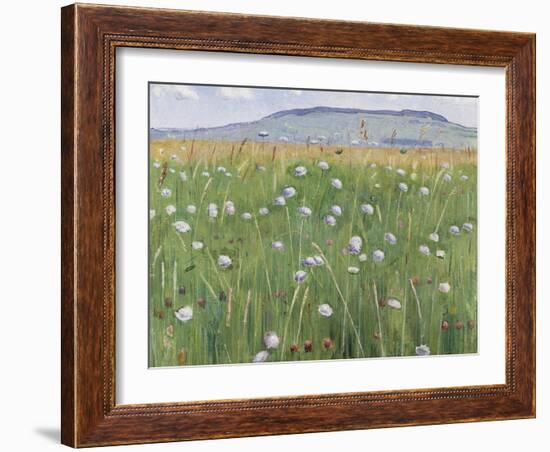 Meadow of Flowers, about 1901-Ferdinand Hodler-Framed Giclee Print