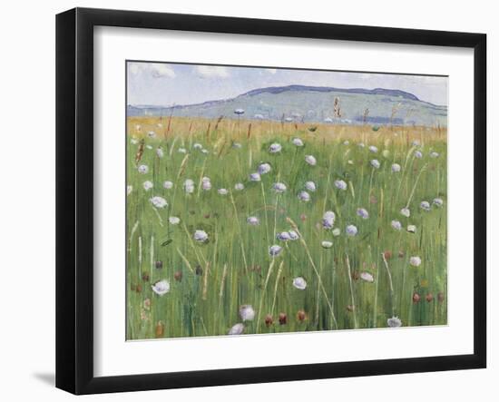 Meadow of Flowers, about 1901-Ferdinand Hodler-Framed Giclee Print