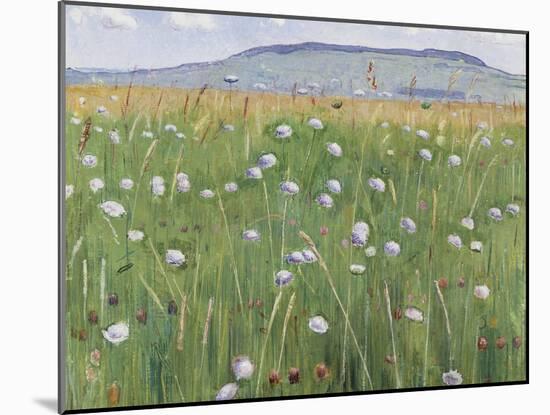 Meadow of Flowers, about 1901-Ferdinand Hodler-Mounted Giclee Print