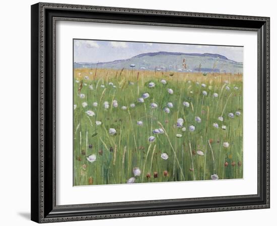 Meadow of Flowers, about 1901-Ferdinand Hodler-Framed Giclee Print