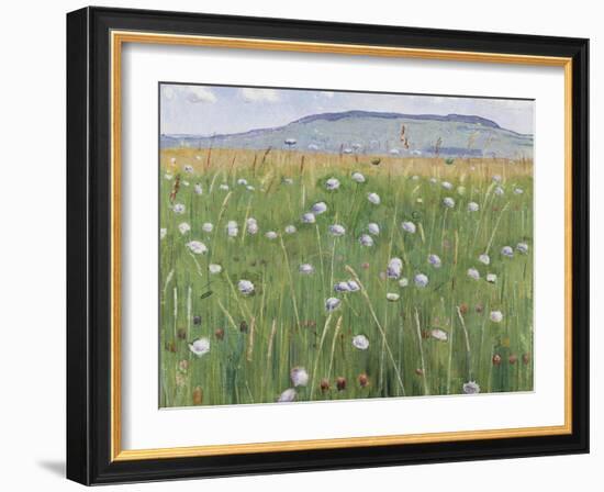 Meadow of Flowers, about 1901-Ferdinand Hodler-Framed Giclee Print