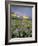 Meadow of Wildflowers Near Lake Sherbourne in Glacier National Park, Montana, USA-Chuck Haney-Framed Photographic Print