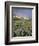 Meadow of Wildflowers Near Lake Sherbourne in Glacier National Park, Montana, USA-Chuck Haney-Framed Photographic Print