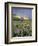 Meadow of Wildflowers Near Lake Sherbourne in Glacier National Park, Montana, USA-Chuck Haney-Framed Photographic Print