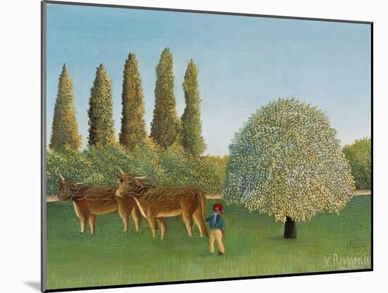 Meadow (pasture). 1910-Henri Rousseau-Mounted Giclee Print