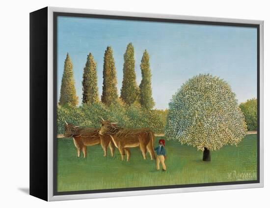 Meadow (pasture). 1910-Henri Rousseau-Framed Premier Image Canvas