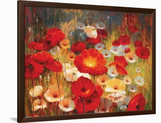 Meadow Poppies I-Lucas Santini-Framed Art Print