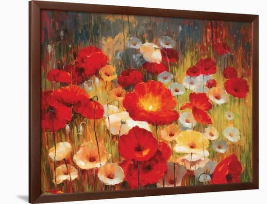 Meadow Poppies I-Lucas Santini-Framed Art Print