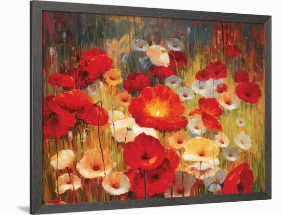 Meadow Poppies I-Lucas Santini-Framed Art Print