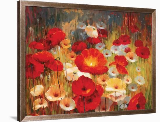 Meadow Poppies I-Lucas Santini-Framed Art Print