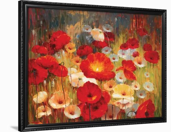 Meadow Poppies I-Lucas Santini-Framed Art Print