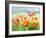 Meadow Poppies-Danhui Nai-Framed Art Print