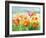 Meadow Poppies-Danhui Nai-Framed Art Print