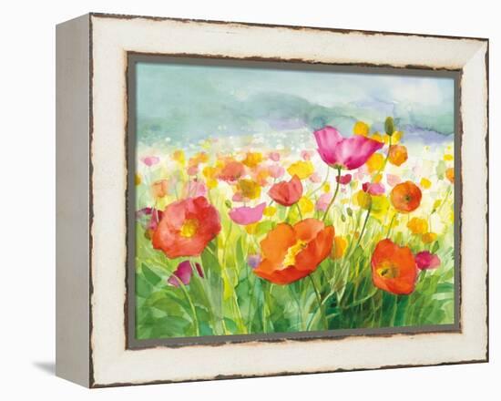 Meadow Poppies-Danhui Nai-Framed Stretched Canvas